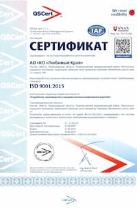 ISO 9001 RU